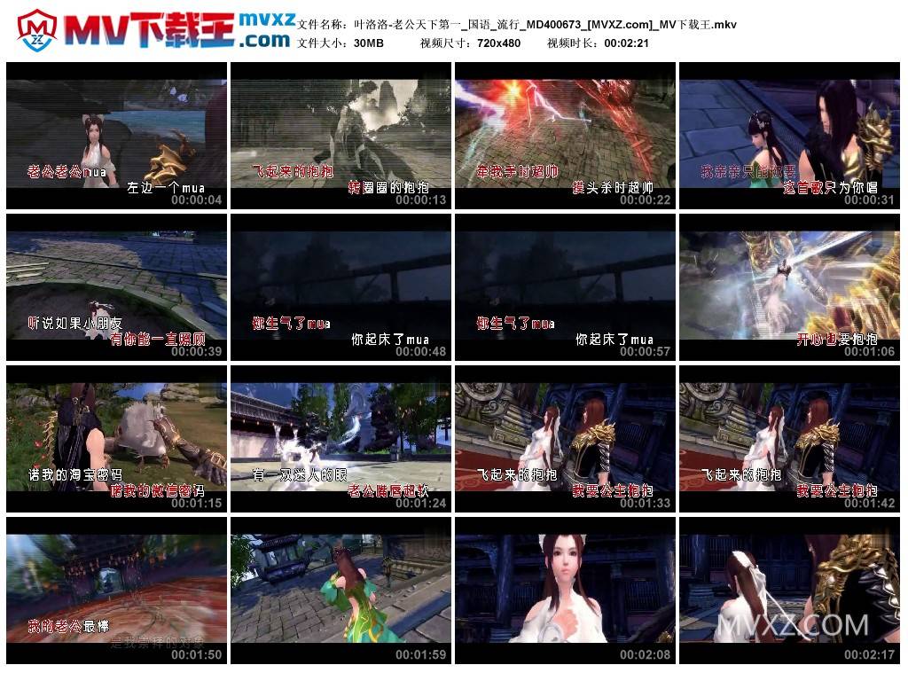 叶洛洛-老公天下第一_国语_流行_MD400673